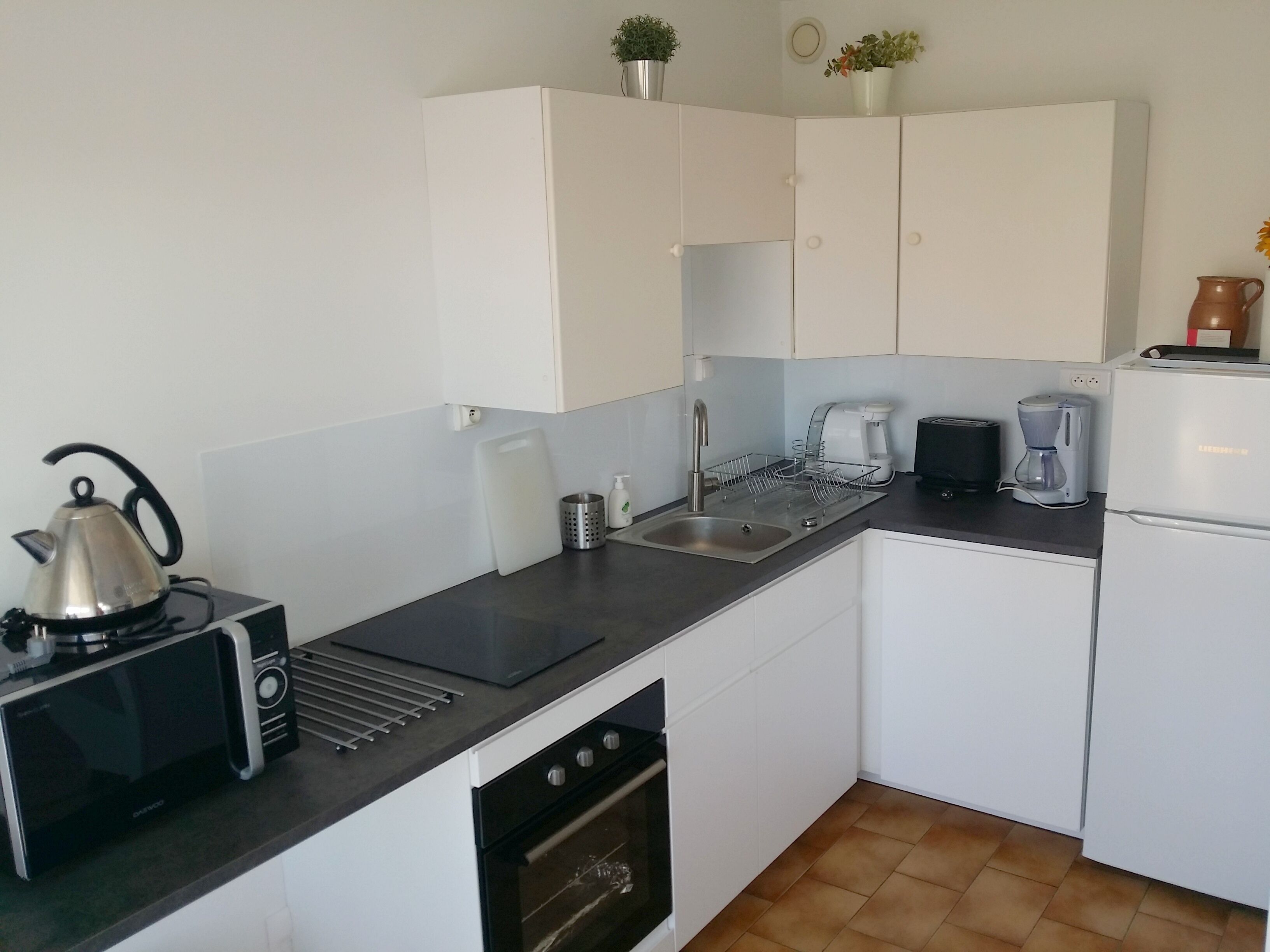 Large T1, bright, near Prado, Beaches, Velodrome, Chanot, Borély, creeks