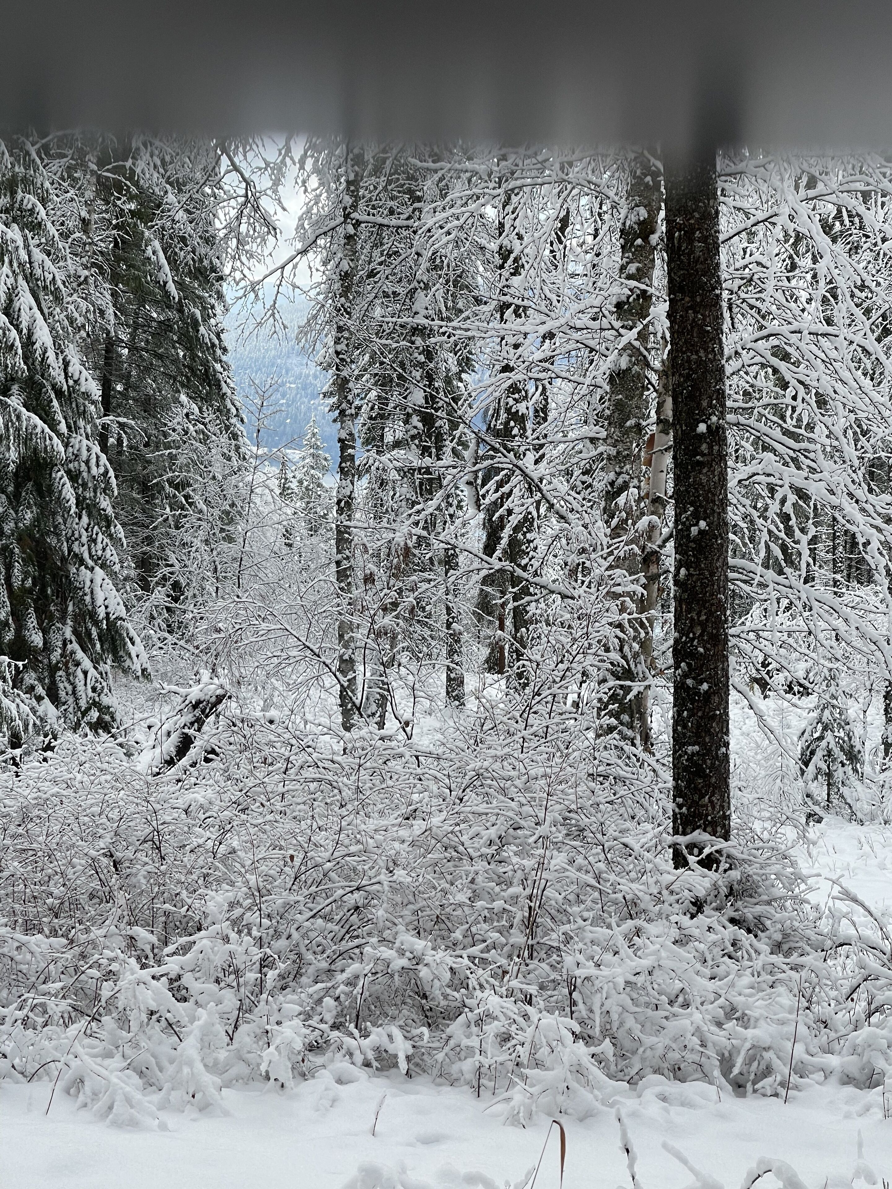 Sne- og skisport
