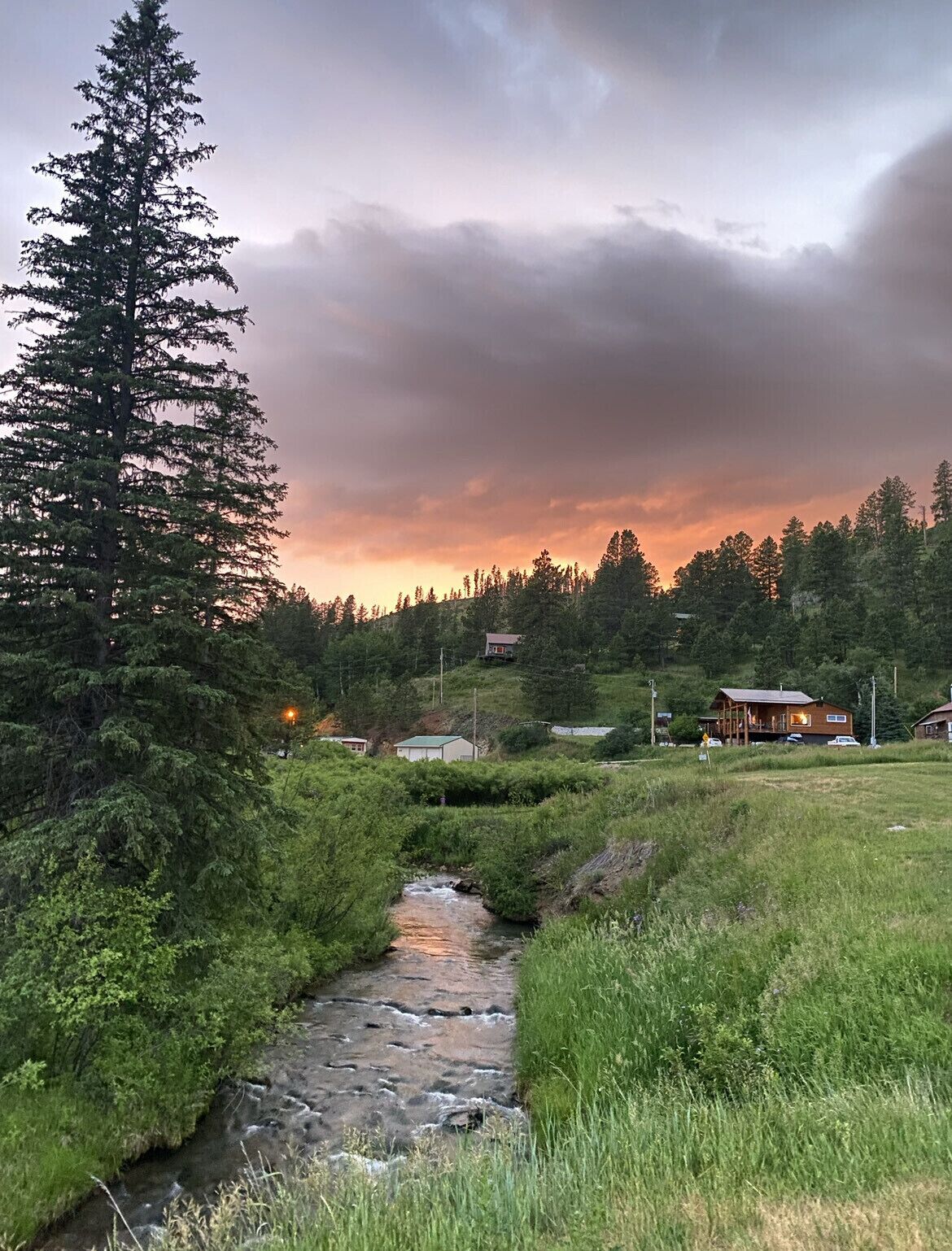 A rural landscape with a stream, dense greenery, and a few houses in the background.