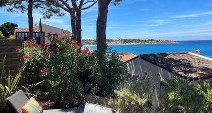 Air-conditioned apartment with sea view 50m from the sea in Sant Ambroggio