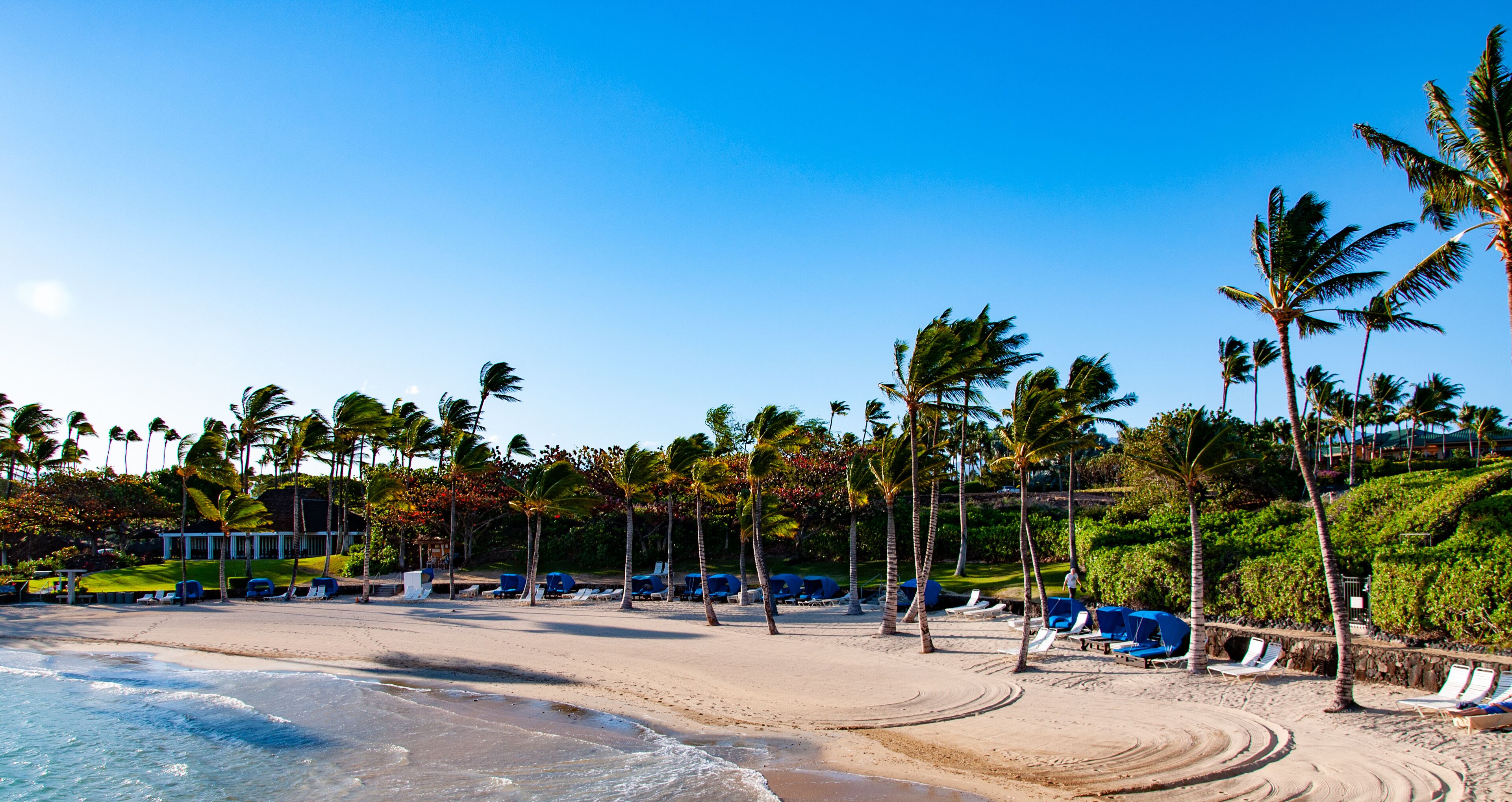 Une plage bordée de palmiers, avec des chaises longues et un ciel dégagé.