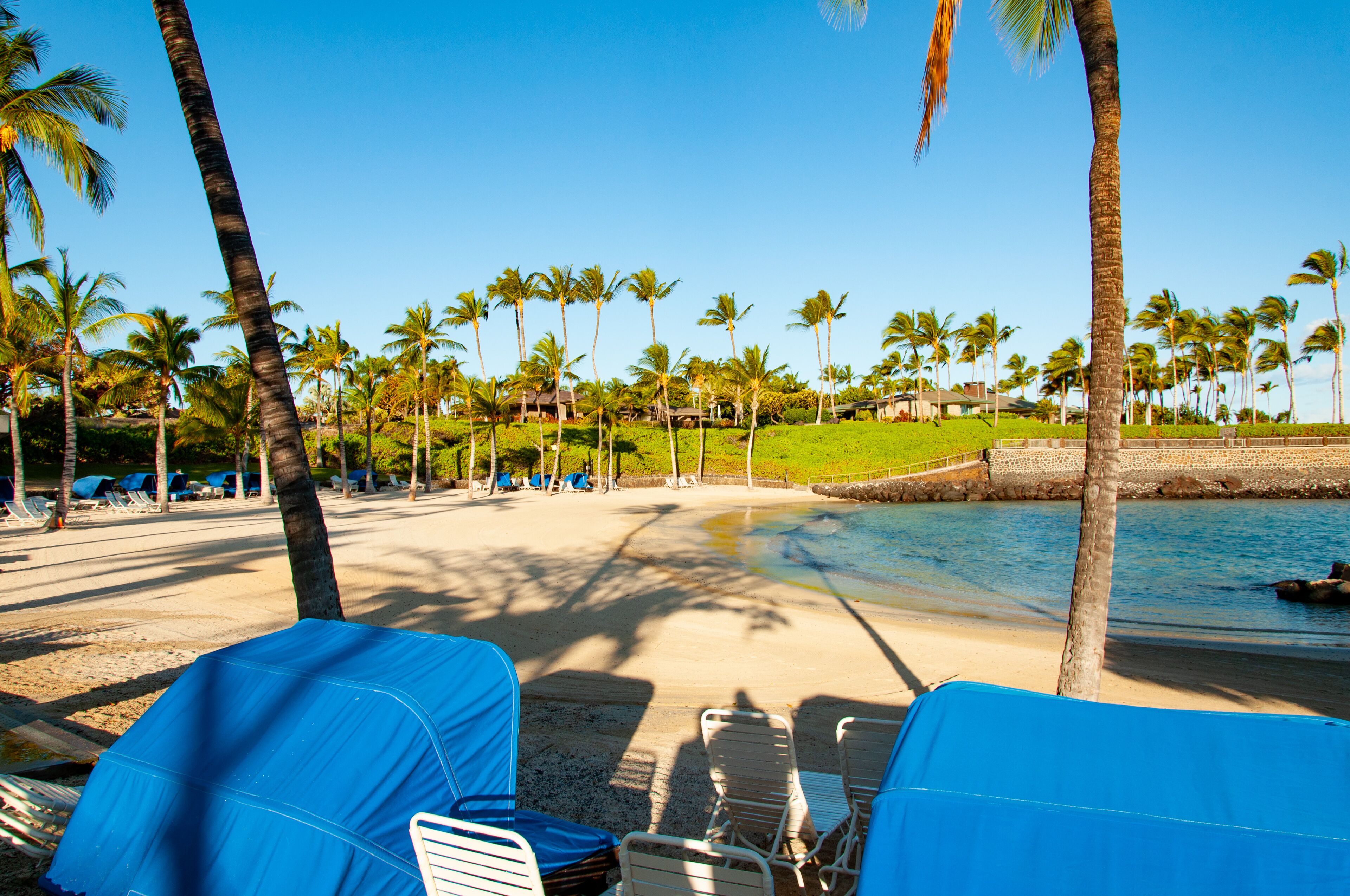 Une plage bordée de palmiers, avec des chaises longues et une piscine.