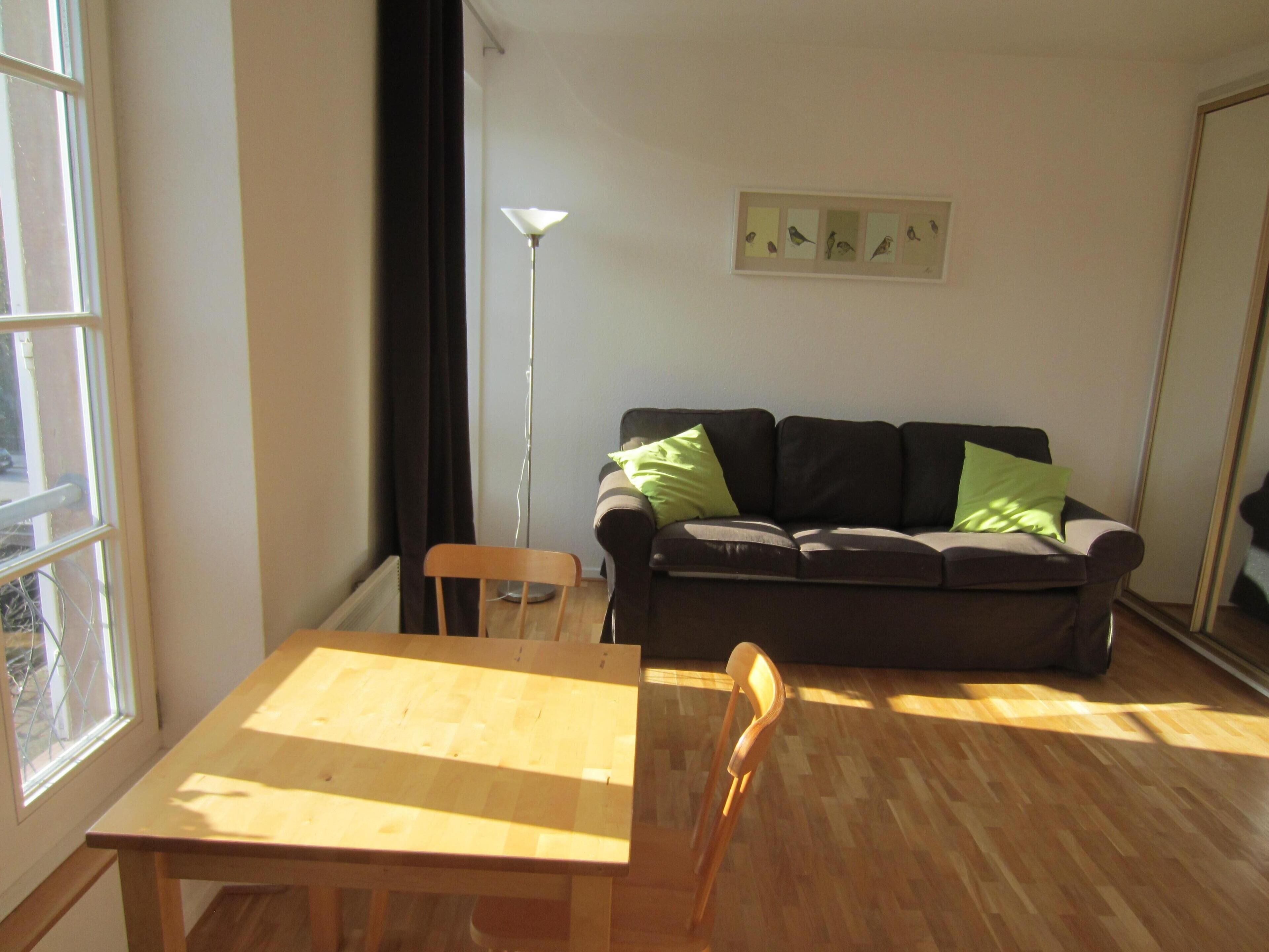 Very nice studio on the river in downtown Strasbourg