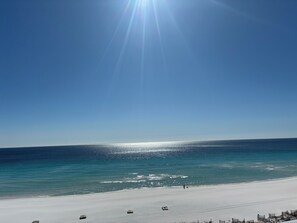 Une plage avec un ciel dégagé, une mer calme et quelques personnes et chiens sur le sable.