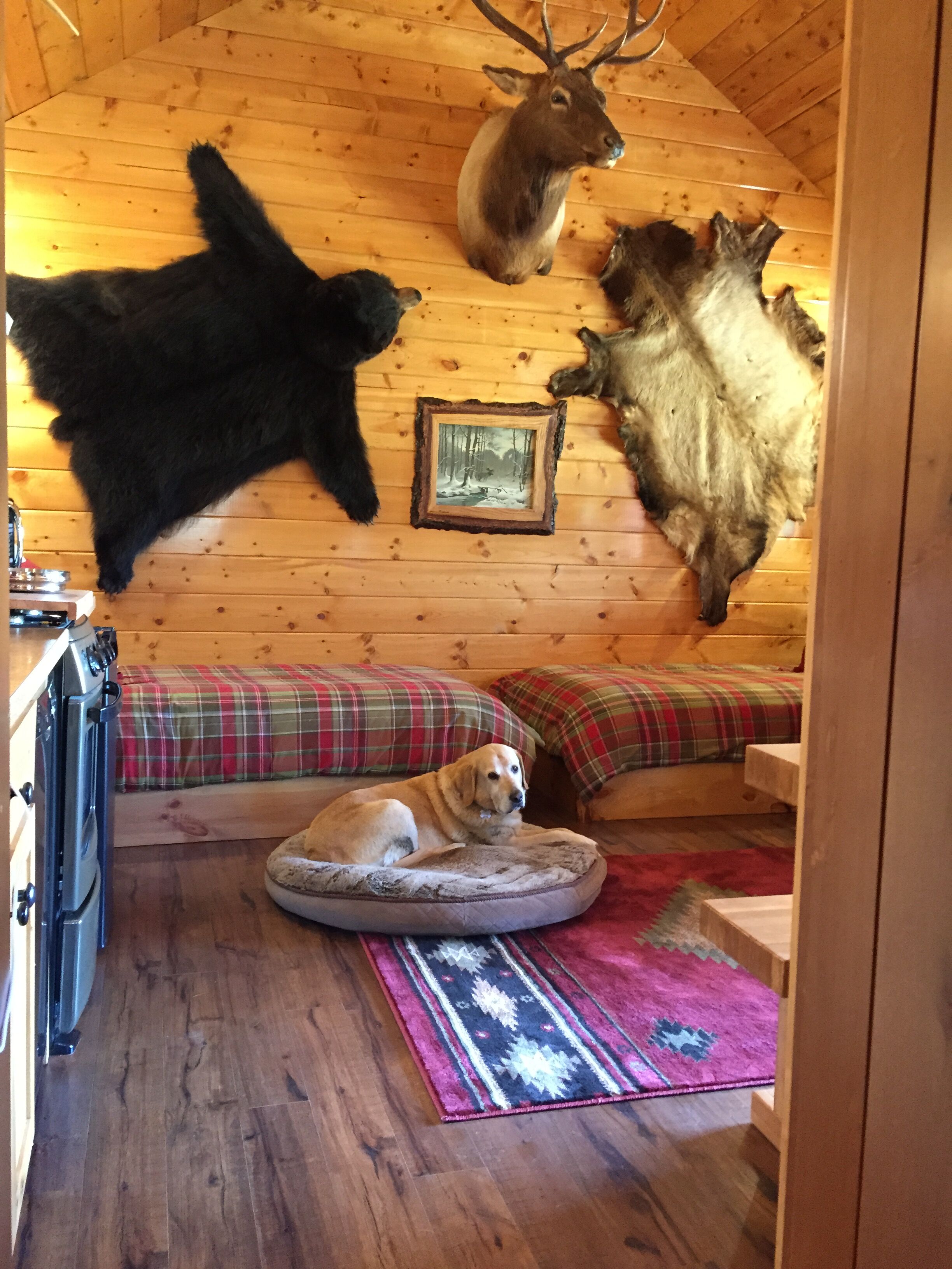 Beautiful Mountain Getaway Set In The Scenic Plain Valley Near Leavenworth, WA.