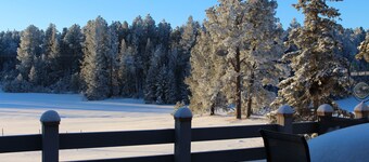 Mountain Meadow View