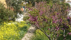 Un camino de piedra que atraviesa un jardín con plantas florecientes amarillas y moradas.