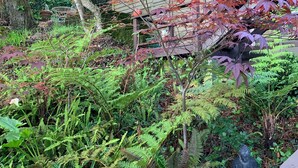 Un jardin où l’on trouve une grande variété de plantes et une statue.