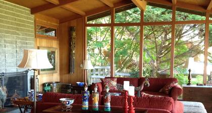 Mill Valley Tree House