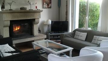 Una televisión, una chimenea, un reproductor de DVD, libros