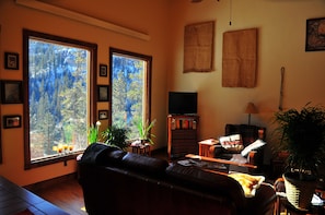Smart TV, books, stereo