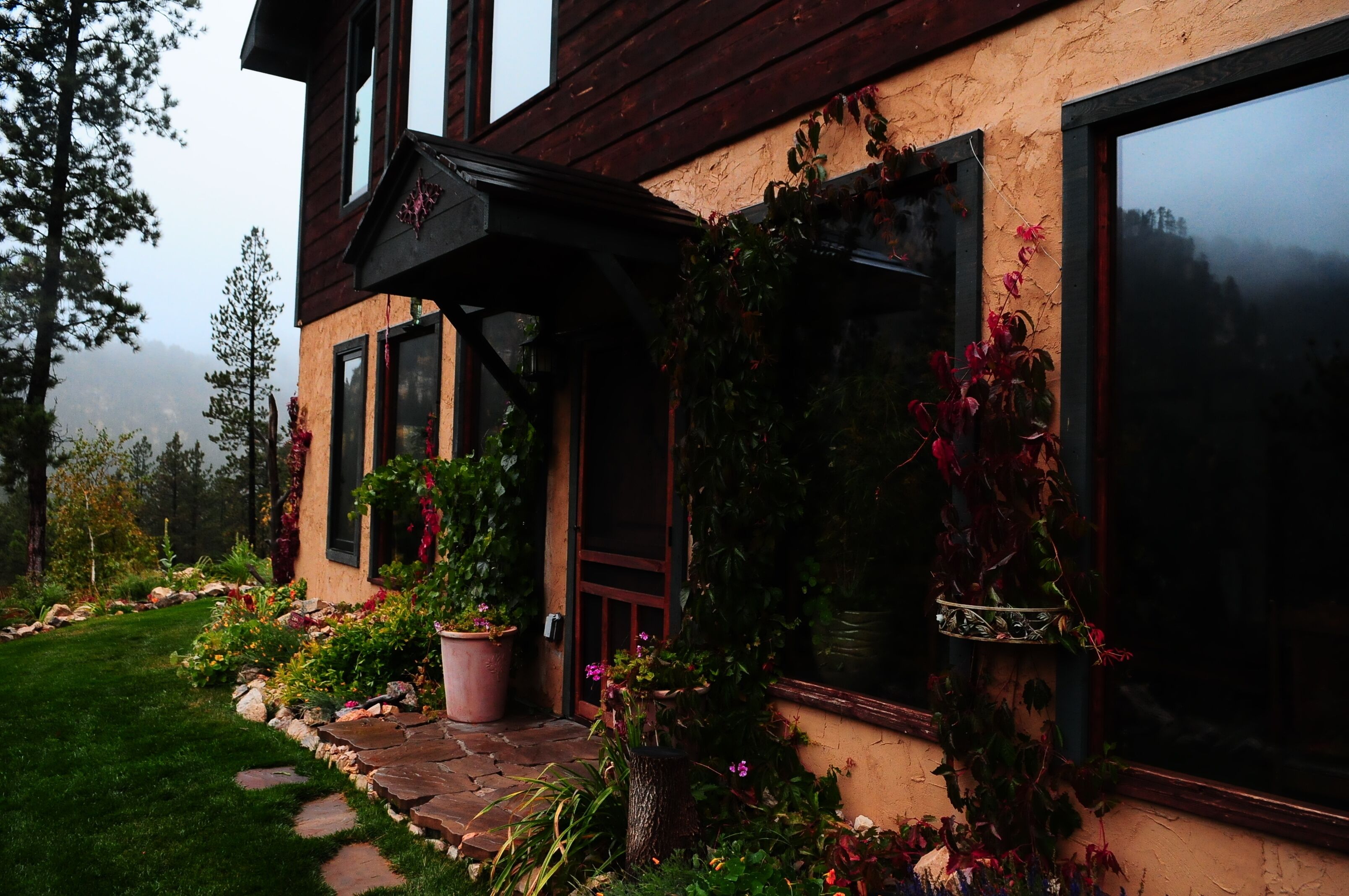 A rustic house with a stone pathway leading to a wooden door, surrounded by lush greenery and potted plants.