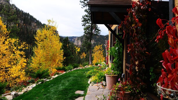 A landscaped garden with a stone pathway leading to a wooden structure. - Spearfish canyon vacation home 15 minutes from Terry Peak Ski Area & Deadwood. (Lead)