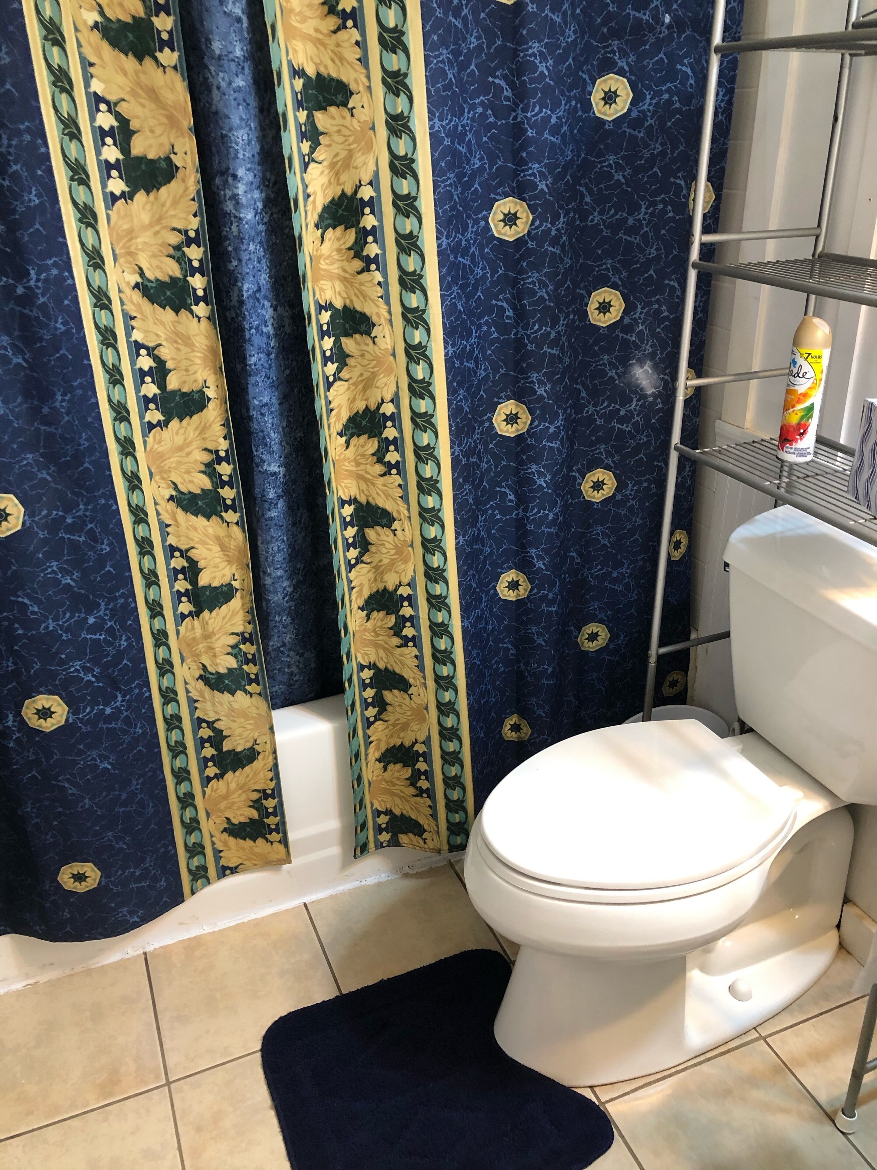 Pet friendly, near skiing, hiking , 3 bedroom, 2 baths, 4 beds.