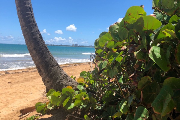 Your welcome view of the ocean.. its magical