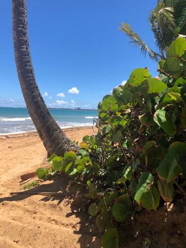 Luxuriöse Villa im Wyndham Rio Mar Beach Resort - KOSTENLOSE Nutzung des Golfwagens mit 7 Übernachtungen