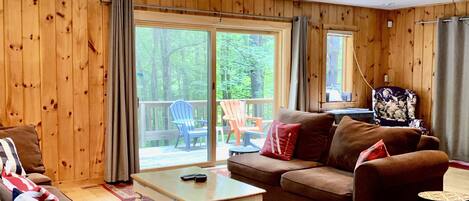 Smart TV, fireplace, books, stereo