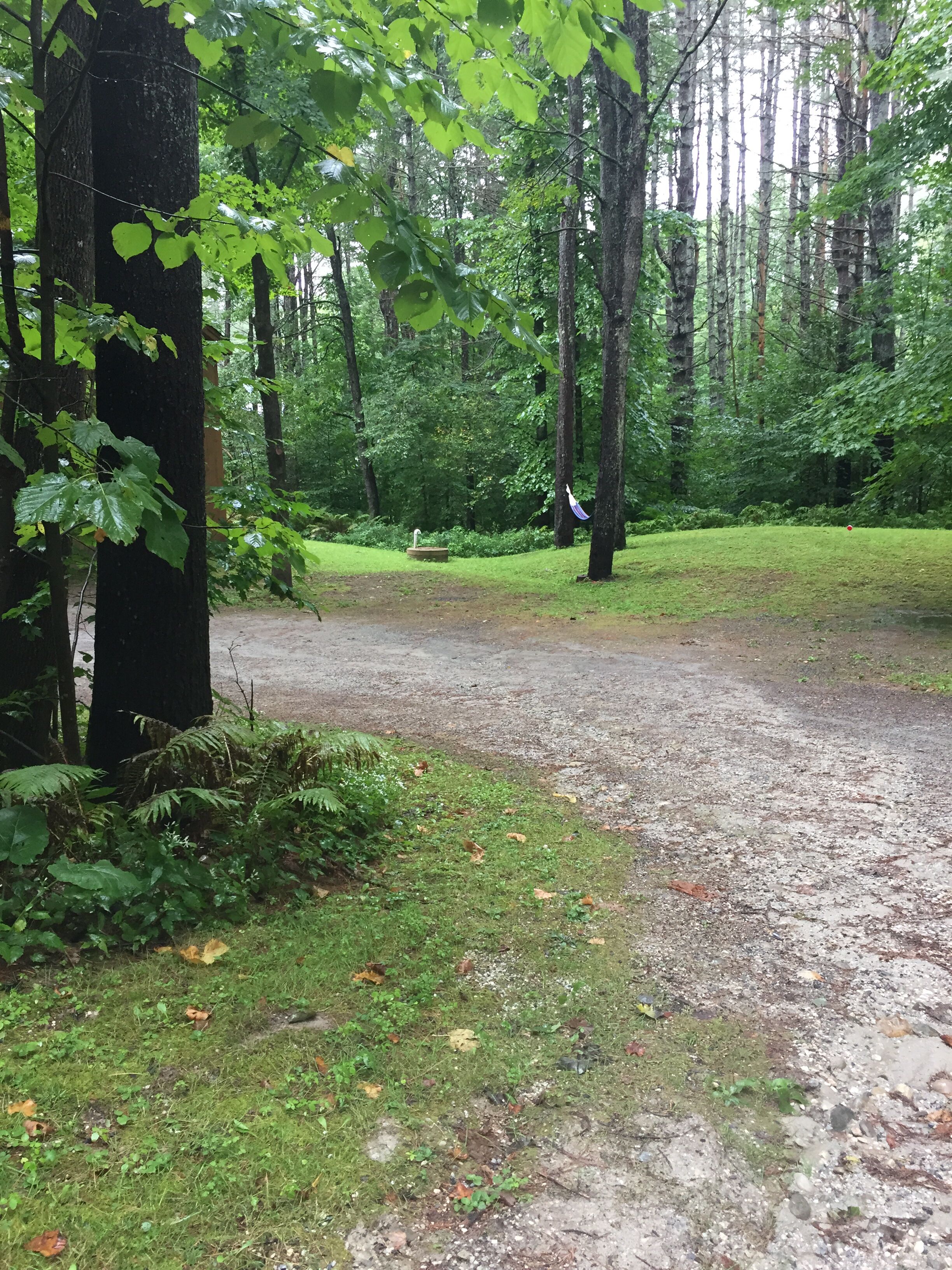 A forested area with a dirt path leading to a picnic table and a water fountain.