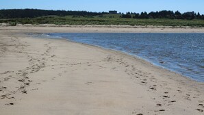 En sandstrand med fotspår som leder ner mot vattnet, en klar himmel och en skogbeklädd kulle i bakgrunden.