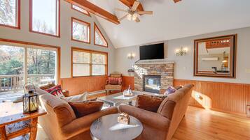 TV connectée, cheminée, jeux vidéo, lecteur de DVD