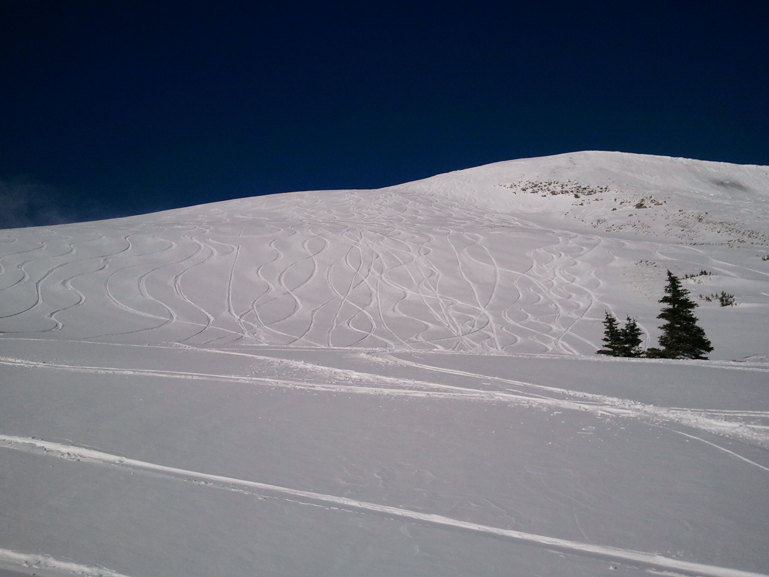 Snø- og skisport