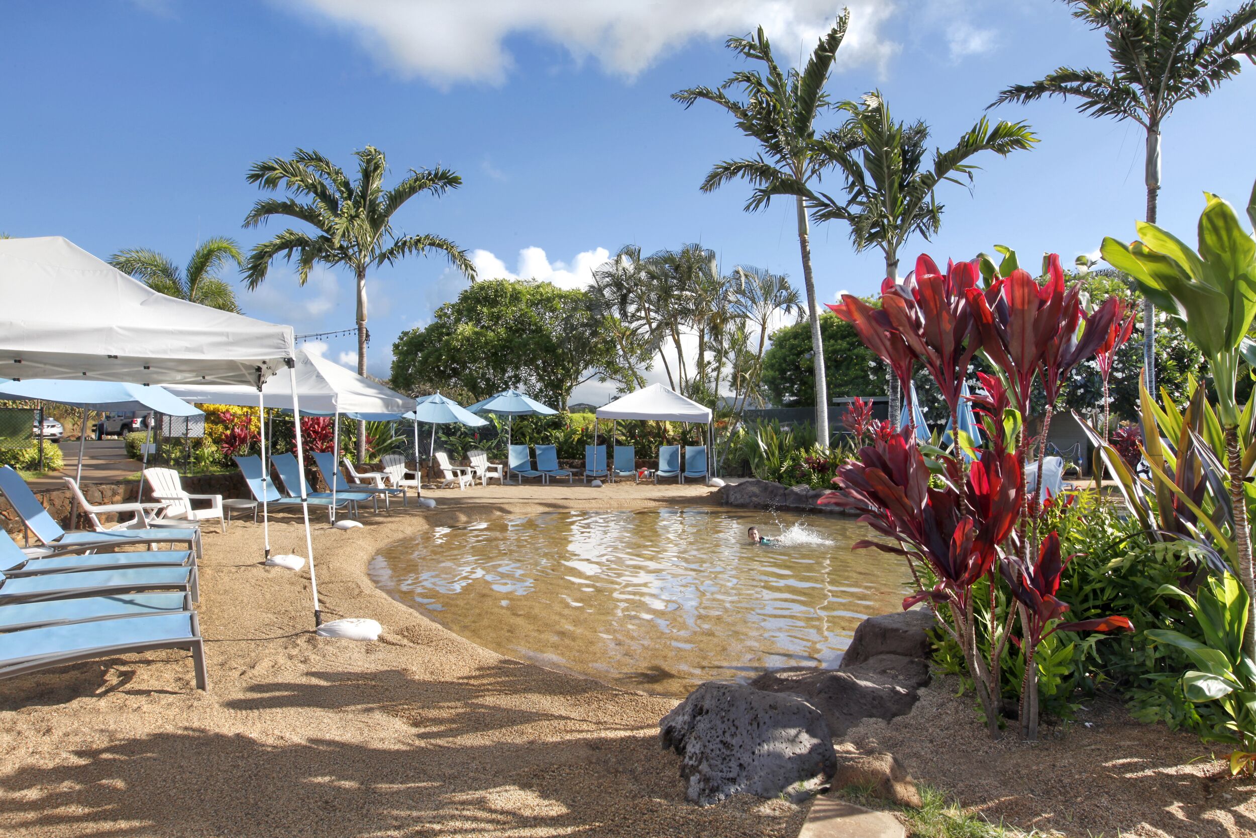 A pool area with lounge chairs and umbrellas, surrounded by palm trees and tropical plants.