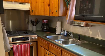 Isolement d'Ozark avec une cabine confortable entiÚrement chargée, des sentiers, des criques, des sources, oh mon Dieu !!!