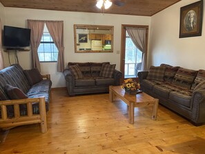 Télévision, cheminée