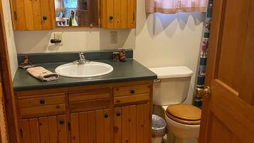 Combined shower/tub, hair dryer, towels