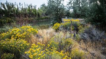 Àrea exterior de l'allotjament