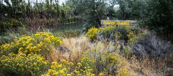 Hemingways cozy rustic cabin 5 min. from Cody