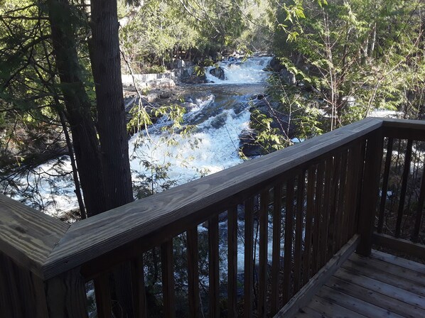 Property grounds - Crystal Falls Retreat, Swimming, Fishing, ATV (Stark)