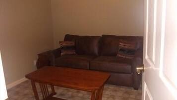 Smart TV, chimenea, libros