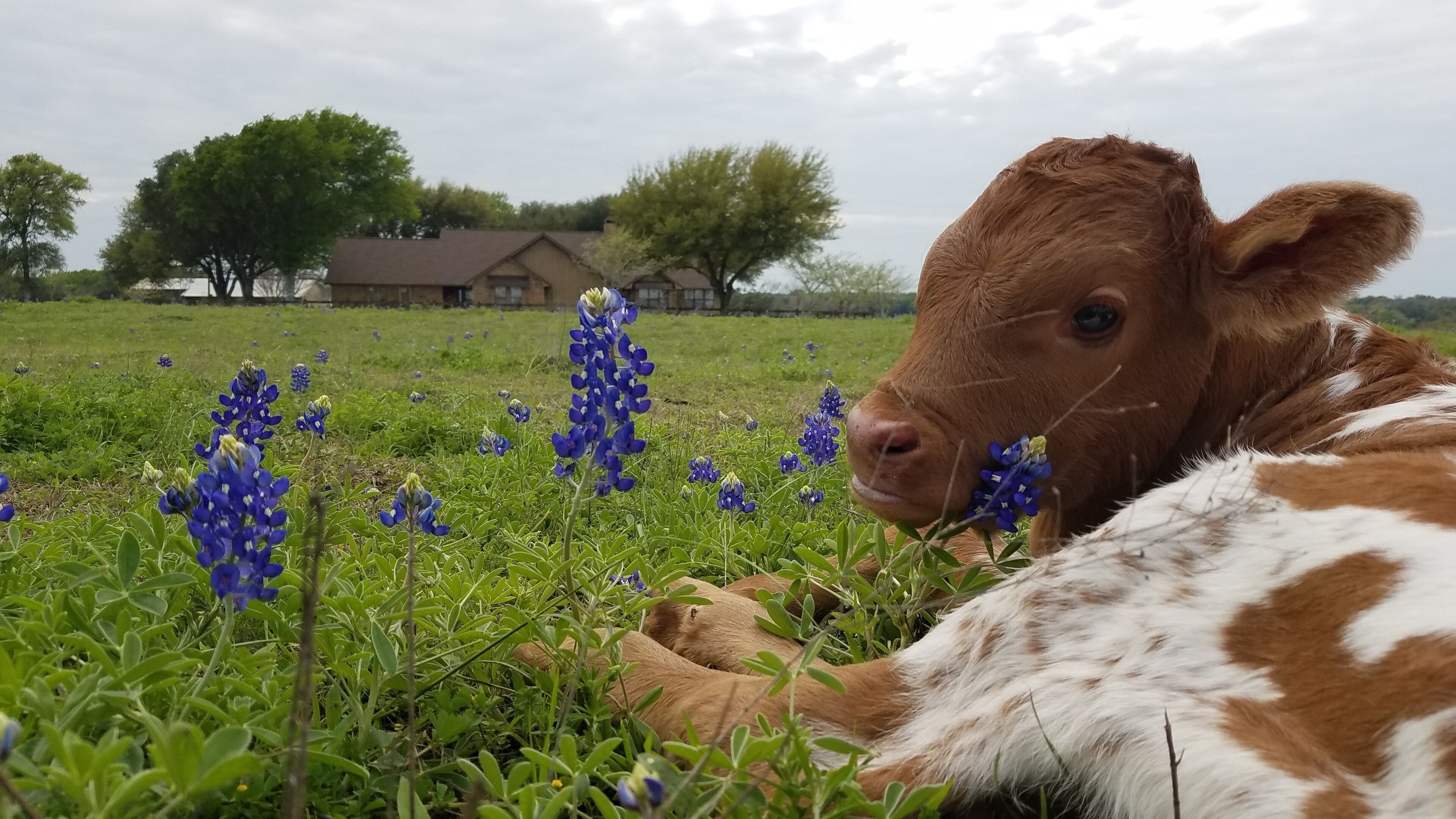 Welcome to God's country.