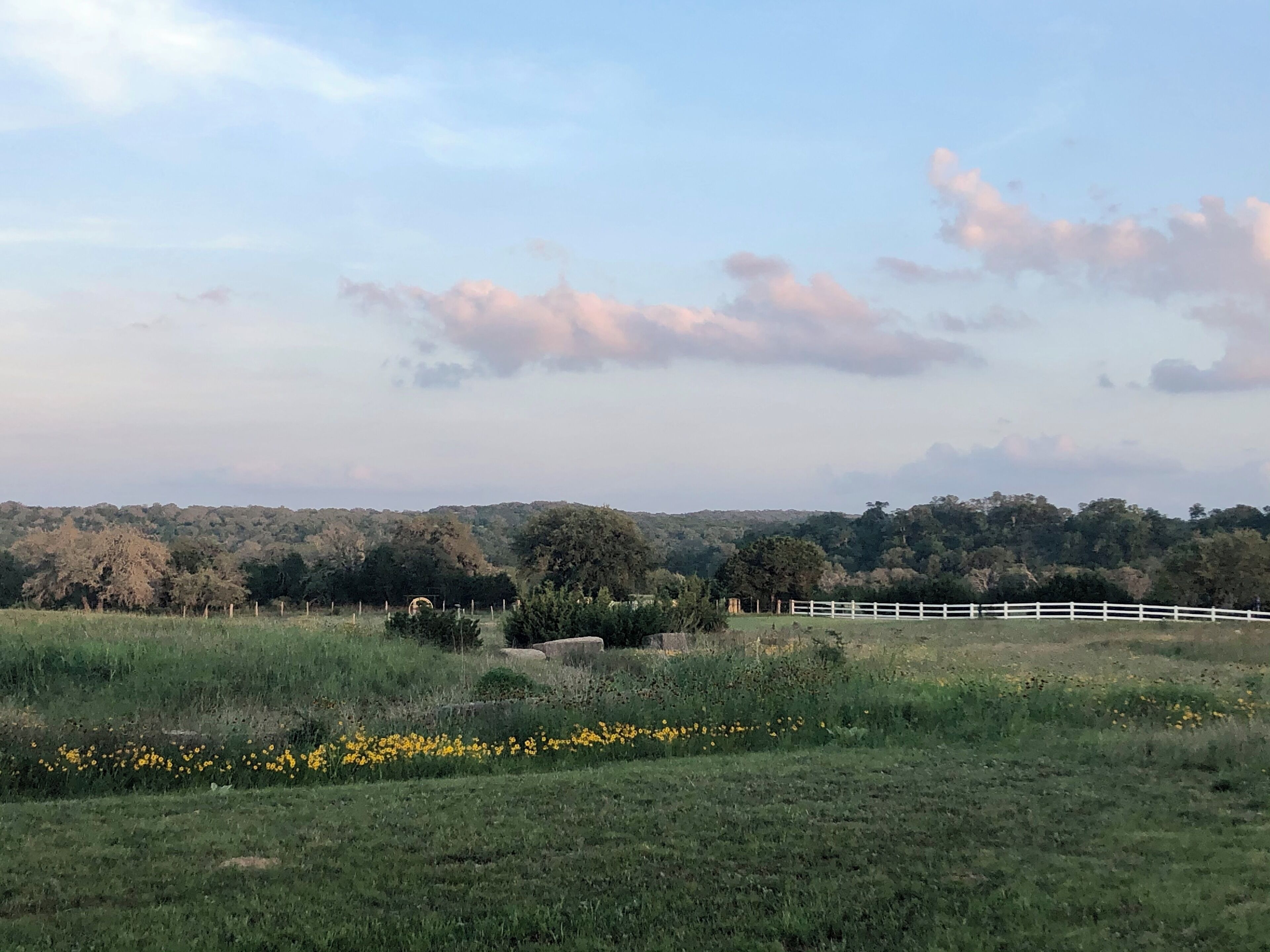A rural landscape with a white fence, green fields, and a line of yellow flowers.