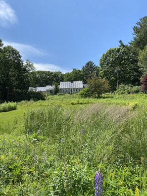 Surrounded by lush greenery, this serene property offers a peaceful retreat.