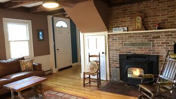 Smart TV, fireplace, DVD player, books