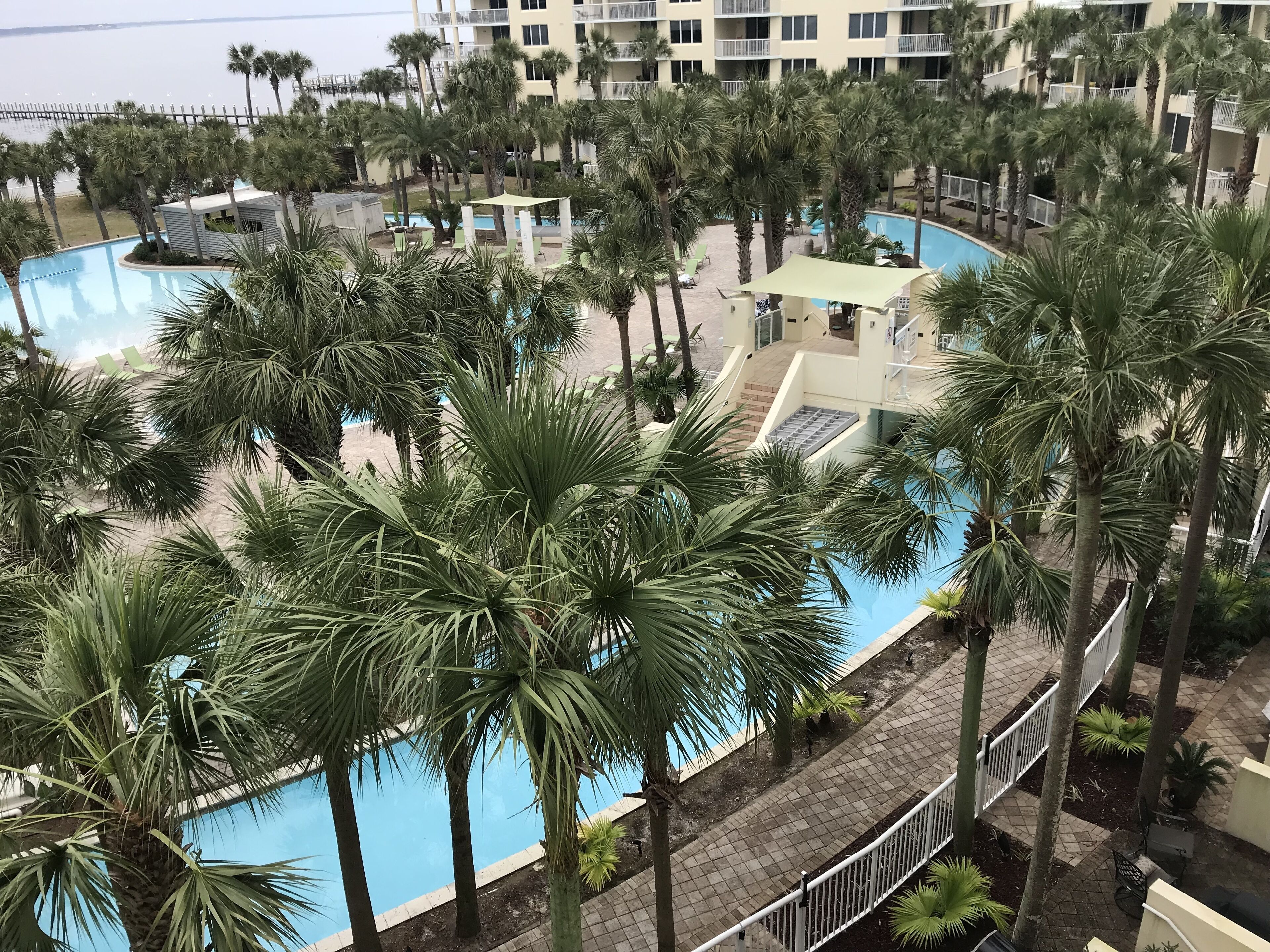 A pool surrounded by palm trees and a building with balconies.