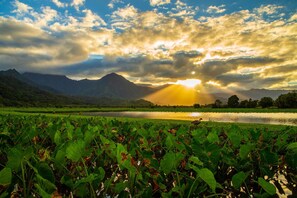 A serene landscape with a body of water, lush greenery, and mountains in the background.