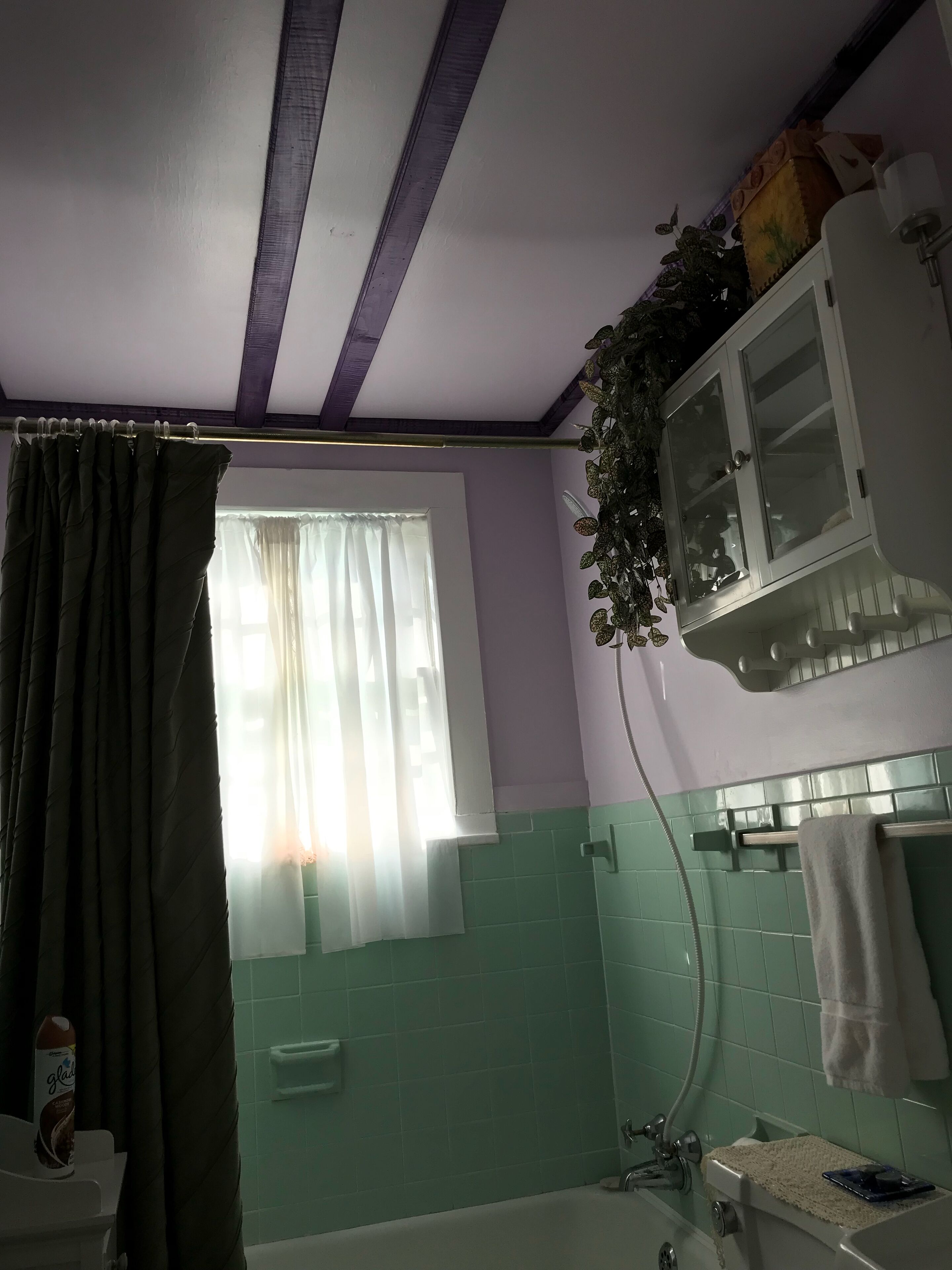  Blue Ridge European art cottage--NO “ owner fees”!