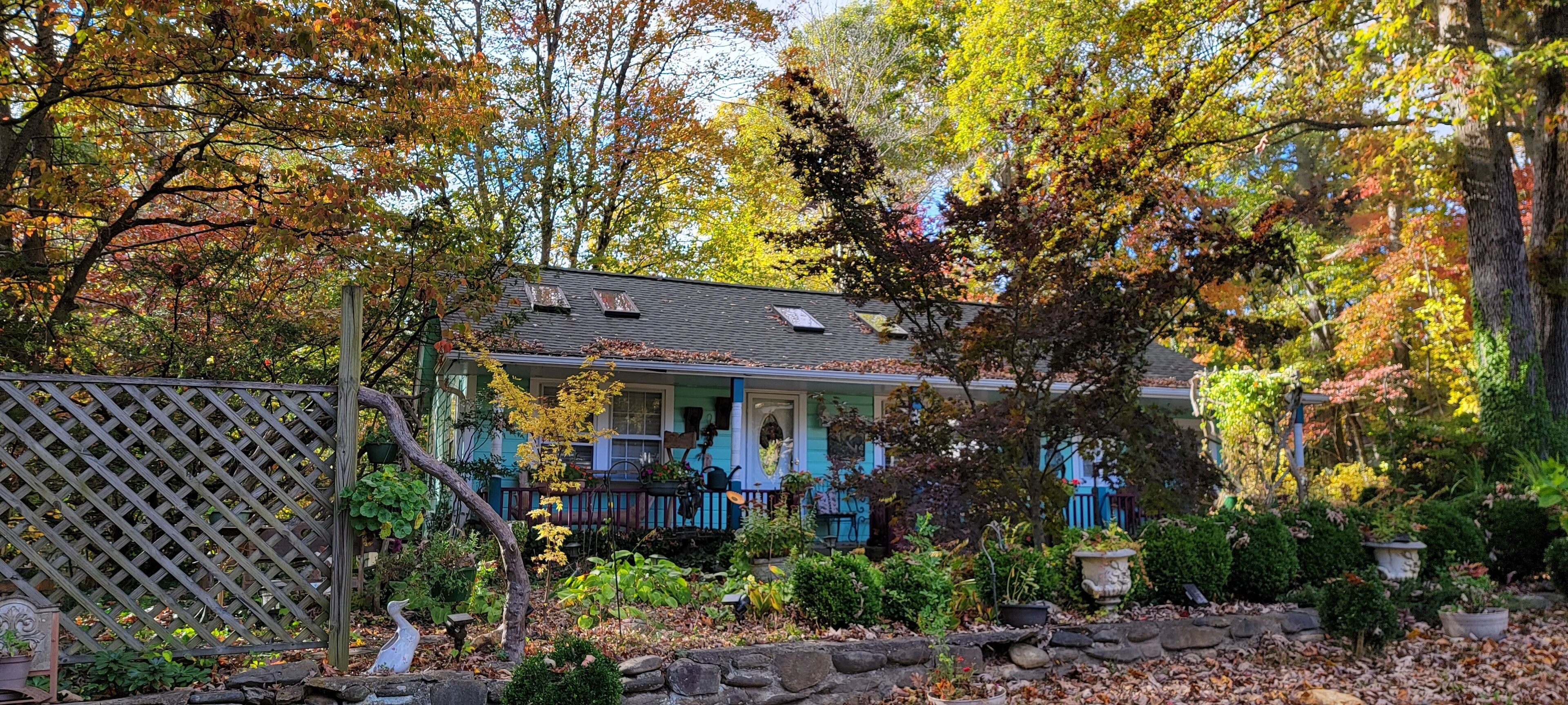  Blue Ridge European art cottage--NO “ owner fees”!