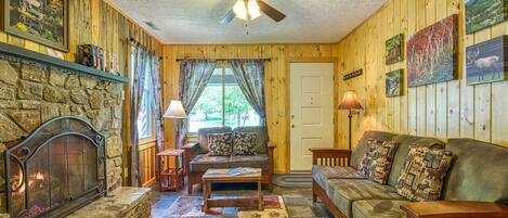 TV connectée, cheminée, lecteur de DVD, livres