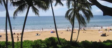 On the beach, sun-loungers, beach towels