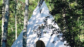 Une tente conique blanche, dotée d’une entrée circulaire, entourée de bouleaux et de verdure.