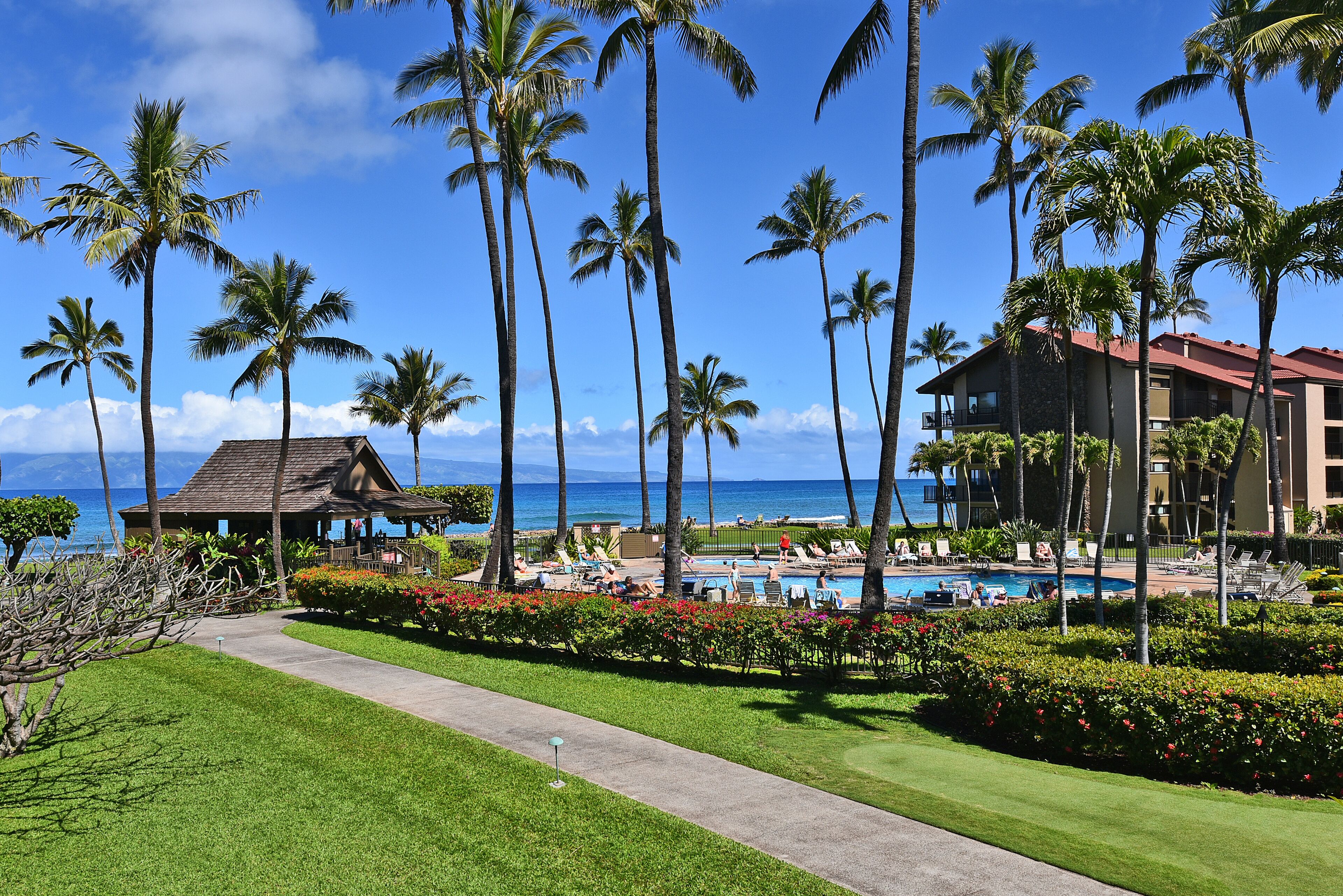 Christmas Week Available!  Beautiful Updated Ocean View Kaanapali Maui Condo.