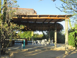 Relax in a shaded outdoor space surrounded by lush greenery and comfortable seating.