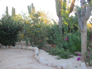 Terrain de l’hébergement 