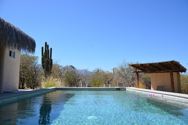 swimming pool .enjoy a cold bevvy while listening to a chorus of birds