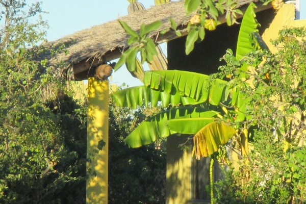 looking towards casita 2