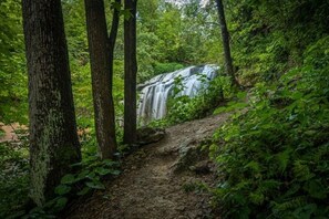 Zona boscosa con una cascada y un sendero de tierra.